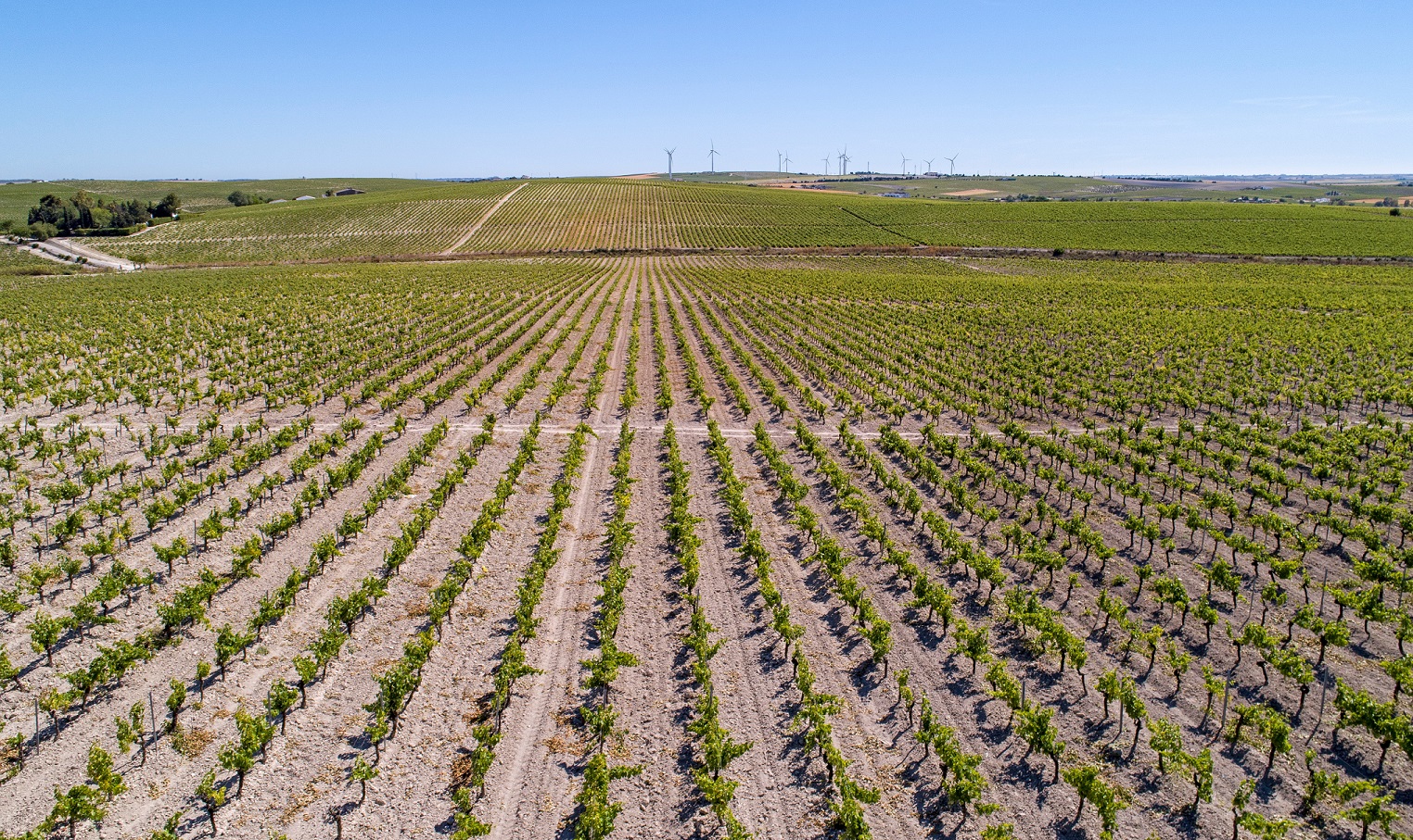 PLAN DE REACTIVACIÓN ECONÓMICA “UNIDOS”: PROYECTOS HÍDRICOS CON PROBLEMAS EN SU EJECUCIÓN