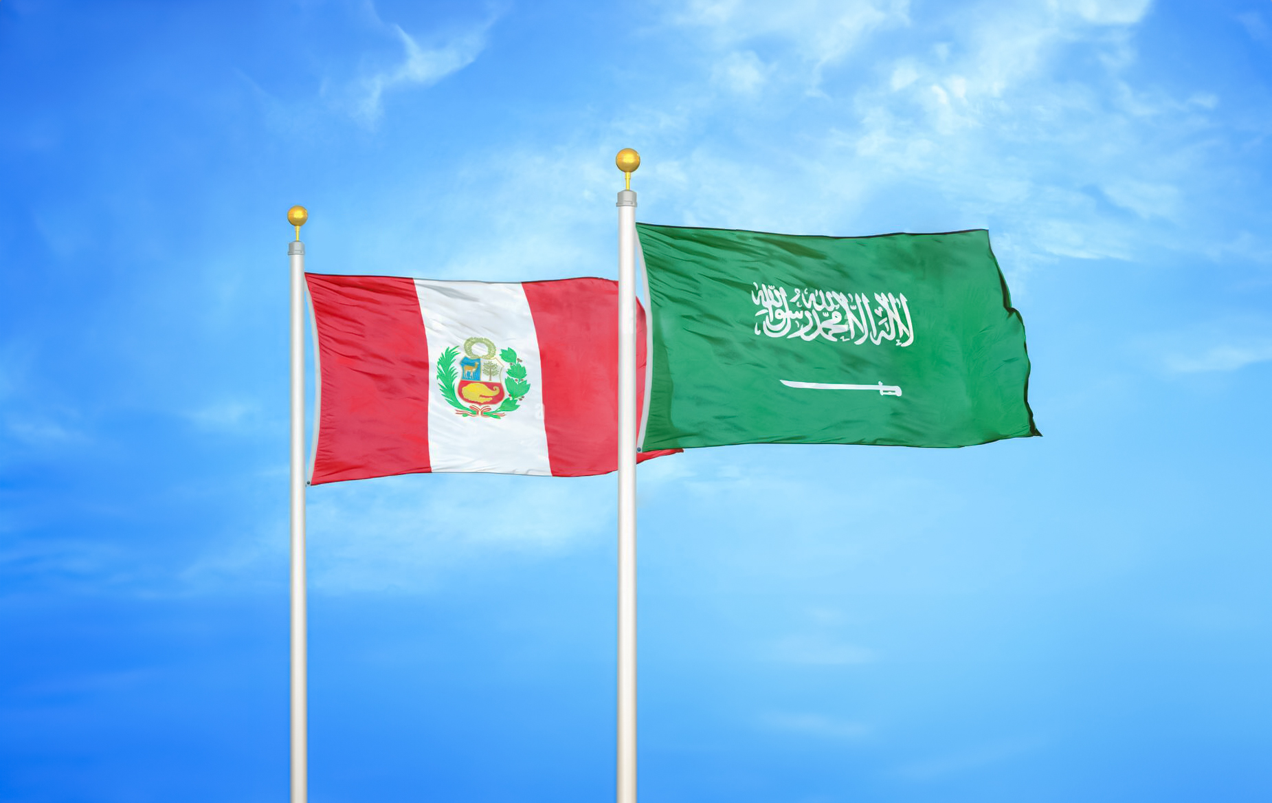 EN BUSCA DE NUEVOS MERCADOS DE EXPORTACIÓN: ARABIA SAUDITA