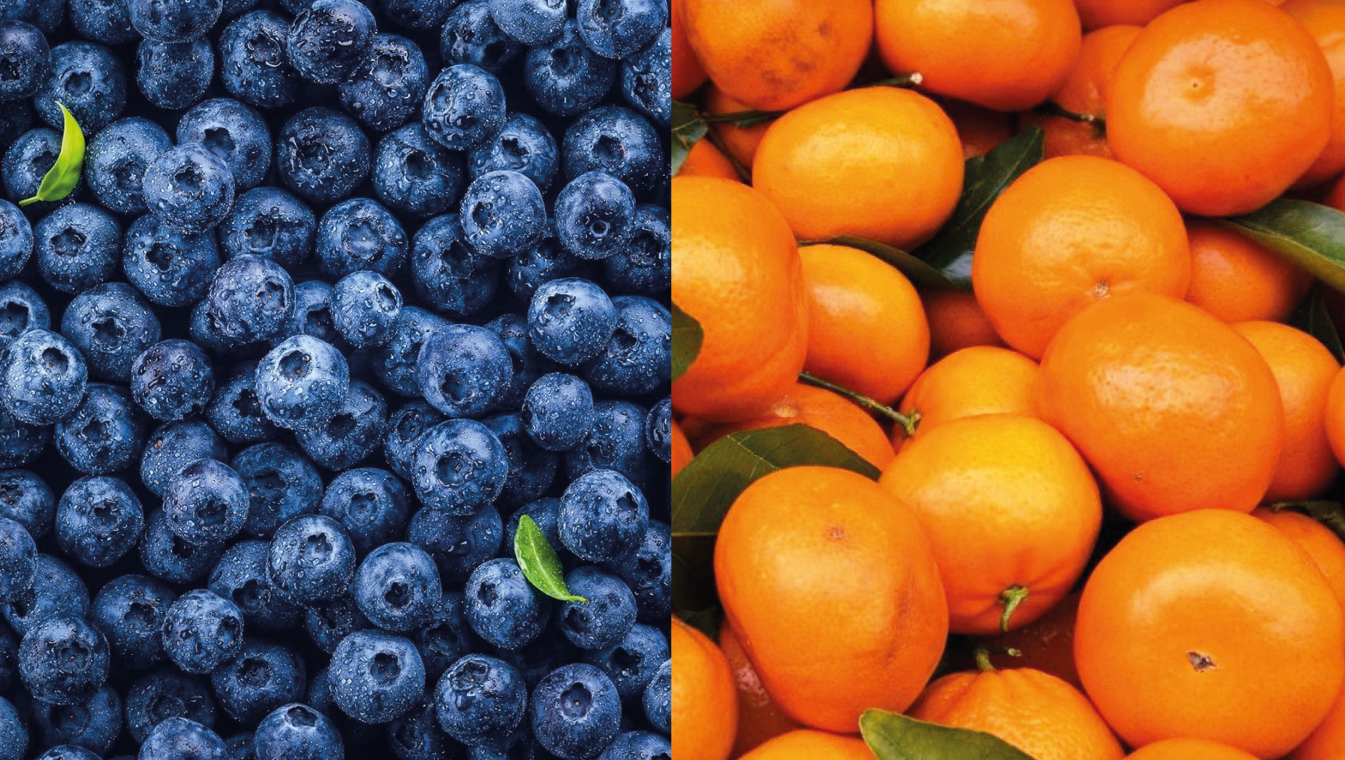 FUTURA APERTURA FITOSANITARIA GENERARÍA NUEVAS OPORTUNIDADES PARA LAS AGROEXPORTACIONES PERUANAS