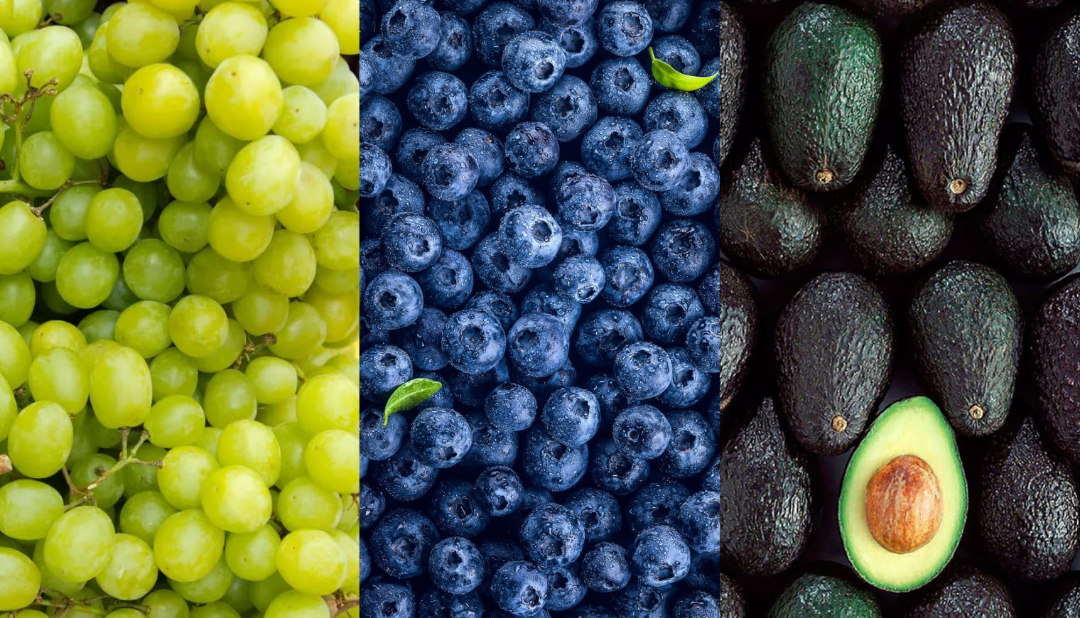 EXPORTACIONES AGRÍCOLAS CRECIERON UN 3.9% EN 2023