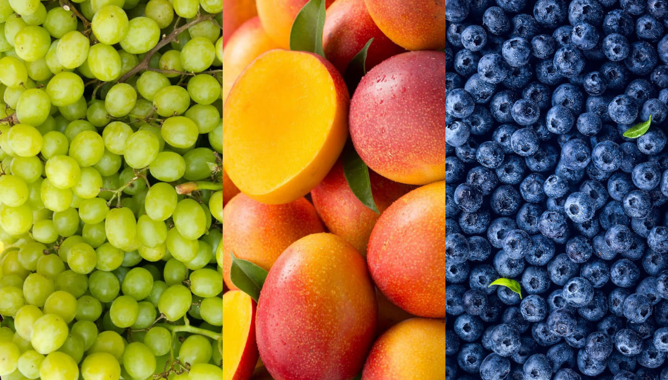 EXPORTACIONES AGRÍCOLAS CRECIERON UN 23.2% EN ENERO DE 2024