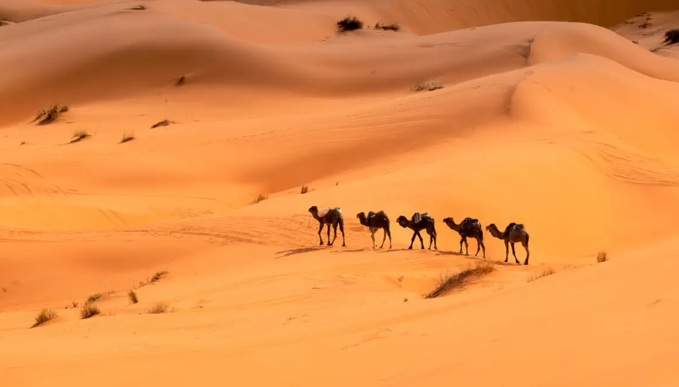 EXPORTACIONES A MEDIO ORIENTE AUMENTARON UN 44.9% EN 2023 Y SIGUEN CRECIENDO