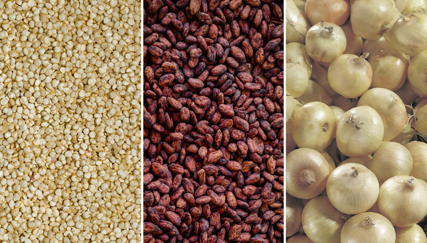 MÁS ALLÁ DEL ARÁNDANO: LAS OTRAS ESTRELLAS DE LA AGROEXPORTACIÓN EN 2024