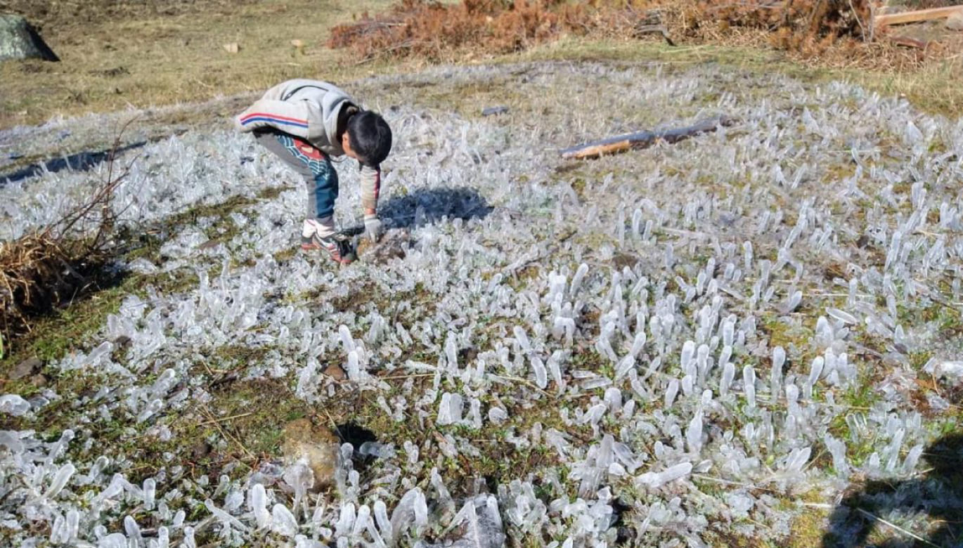 MÁS DE UN MILLÓN DE HECTÁREAS AGRÍCOLAS EN RIESGO POR HELADAS