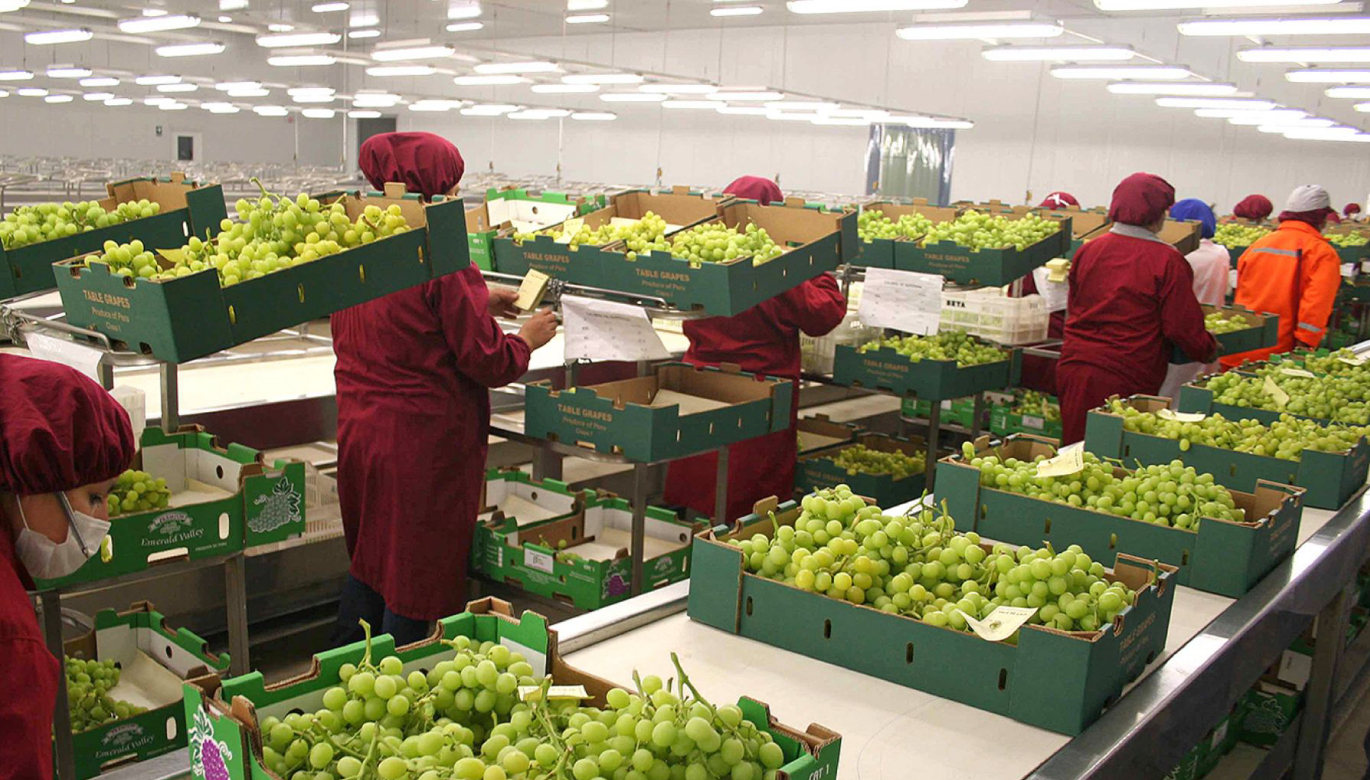 NUESTRAS AGROEXPORTACIONES AL APEC CRECIERON UN 5.9% A MAYO DE 2024