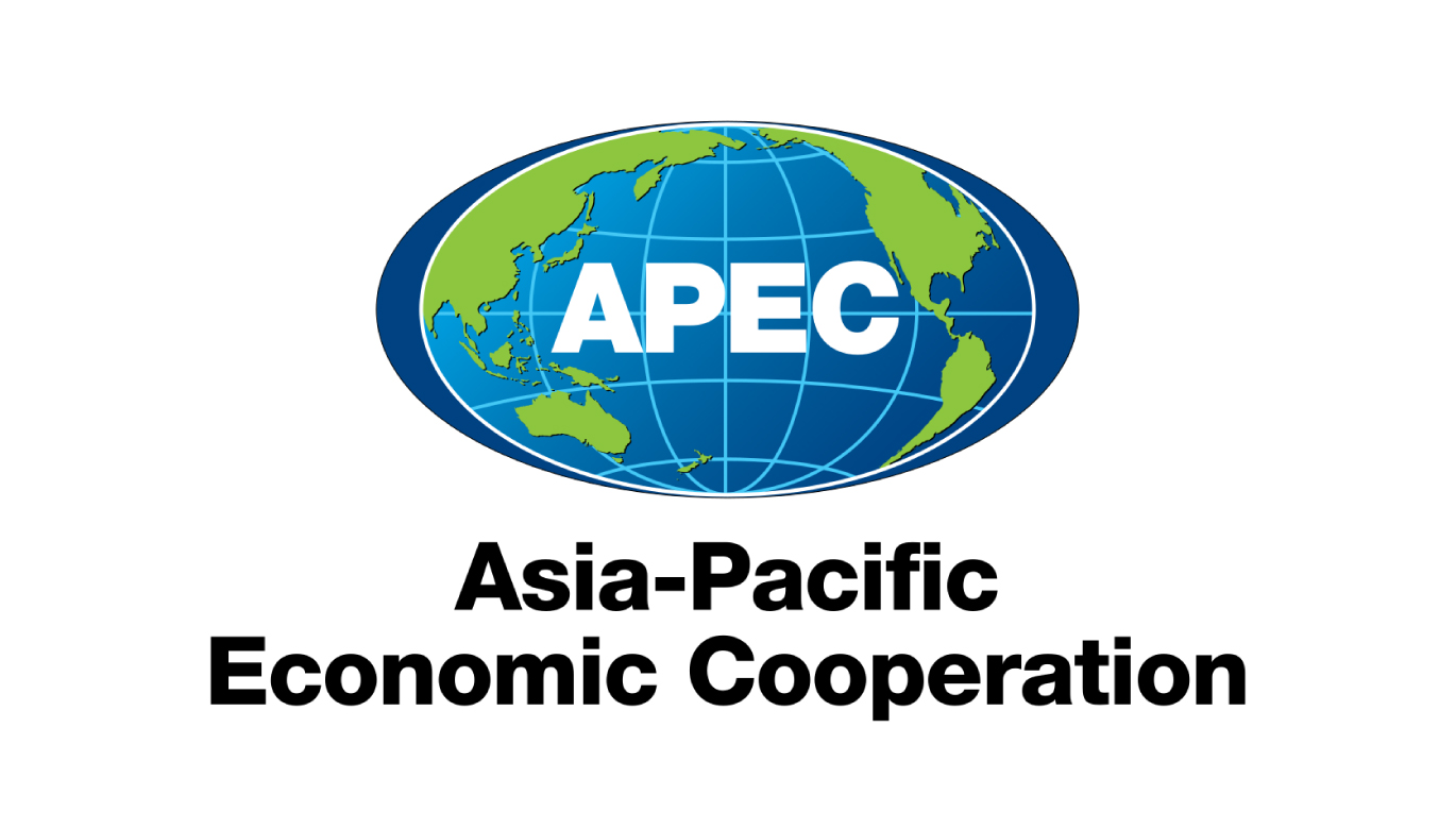 METAS APEC: ¿CÓMO PROMOVER LA TRANSICIÓN AL SECTOR FORMAL?