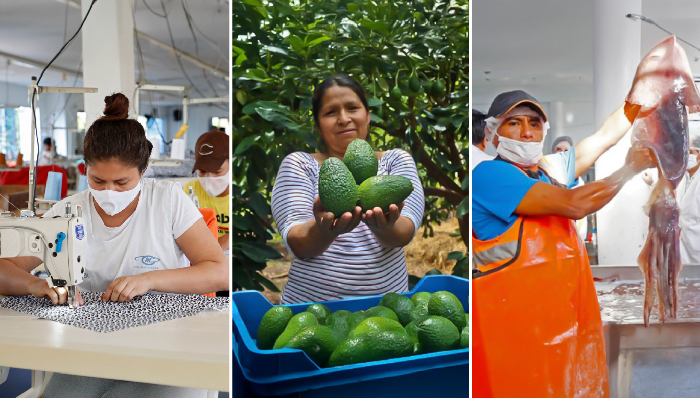 EXPORTACIONES DE LAS MIPYMES SUMARON US$ 7,810 MILLONES EN 2024