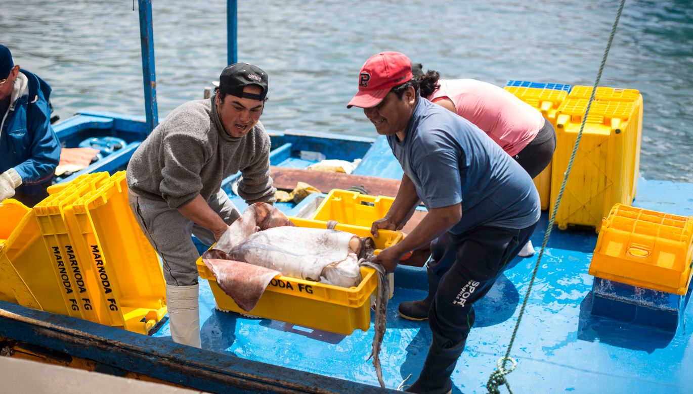 Exportaciones pesqueras no tradicionales crecieron un 13.2% en el primer trimestre de 2025