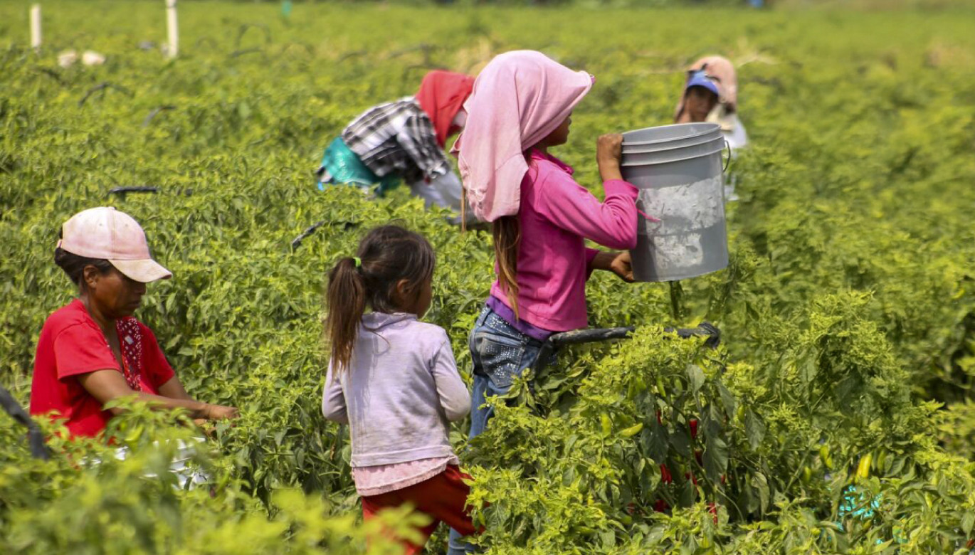 ¿Qué funciona contra el trabajo infantil?