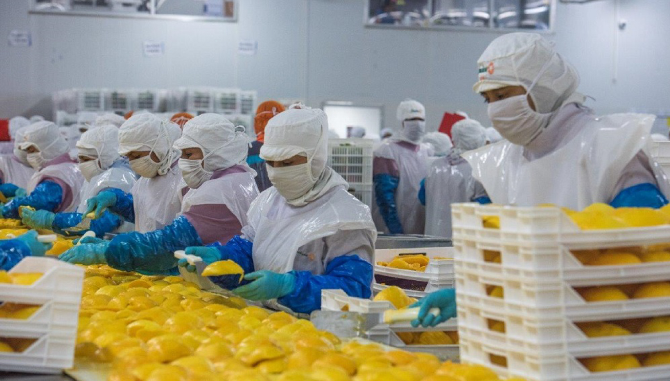 Agroexportaciones peruanas crecieron un 24.5% entre enero y abril de 2025